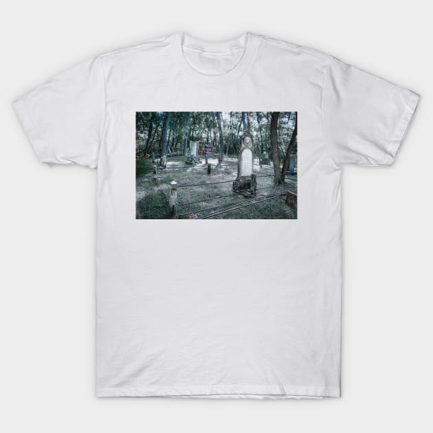 Historical Pioneer Cemetery 4 T-Shirt by Robert Alsop